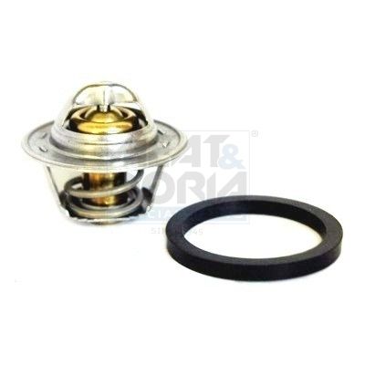 Thermostat, Kühlmittel