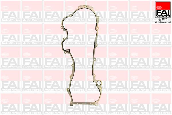 Gasket, timing case TC1321