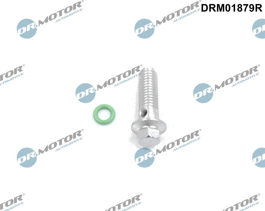 Dr.Motor Automotive DRM01879R Repair Kit, oil pump