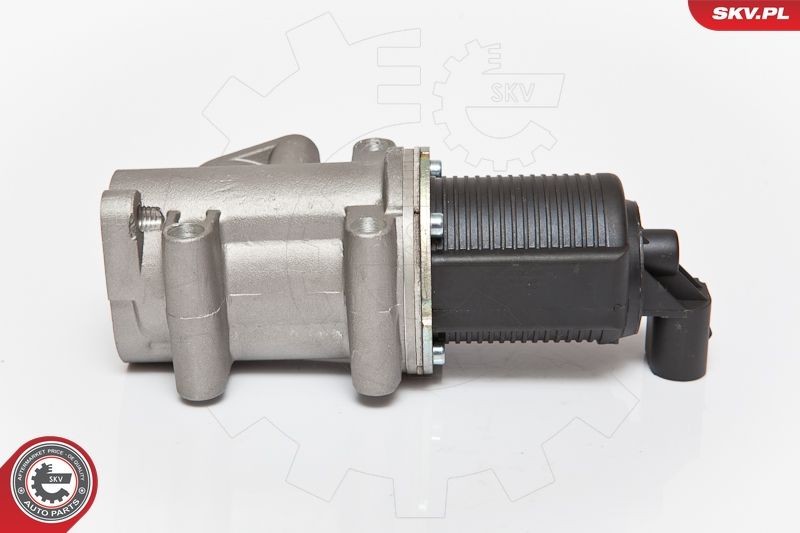 EGR Valve 14SKV076