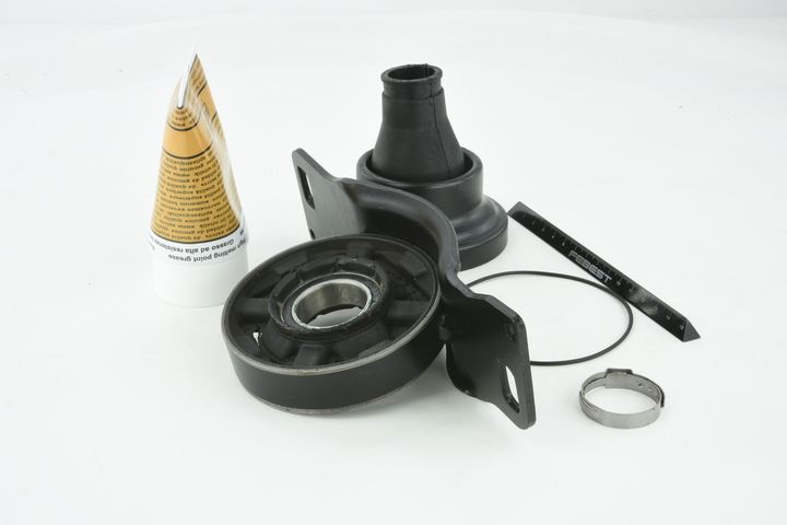 guolis, kardaninio veleno centrinis guolis