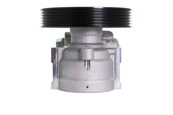 Hydraulikpumpe, Lenkung