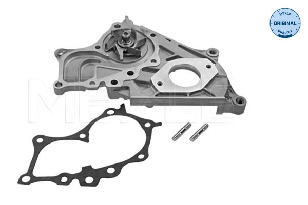 MEYLE 30-13 220 0001 Water Pump, engine cooling