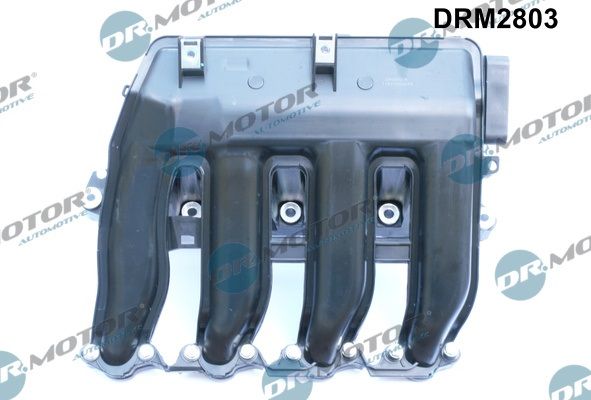 Intake Manifold Module DRM2803