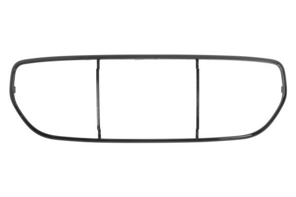 Zier-/Schutzleiste, Kühlergitter