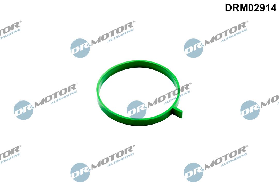 Dr.Motor Automotive DRM02914 Dichtung, Drosselklappenstutzen