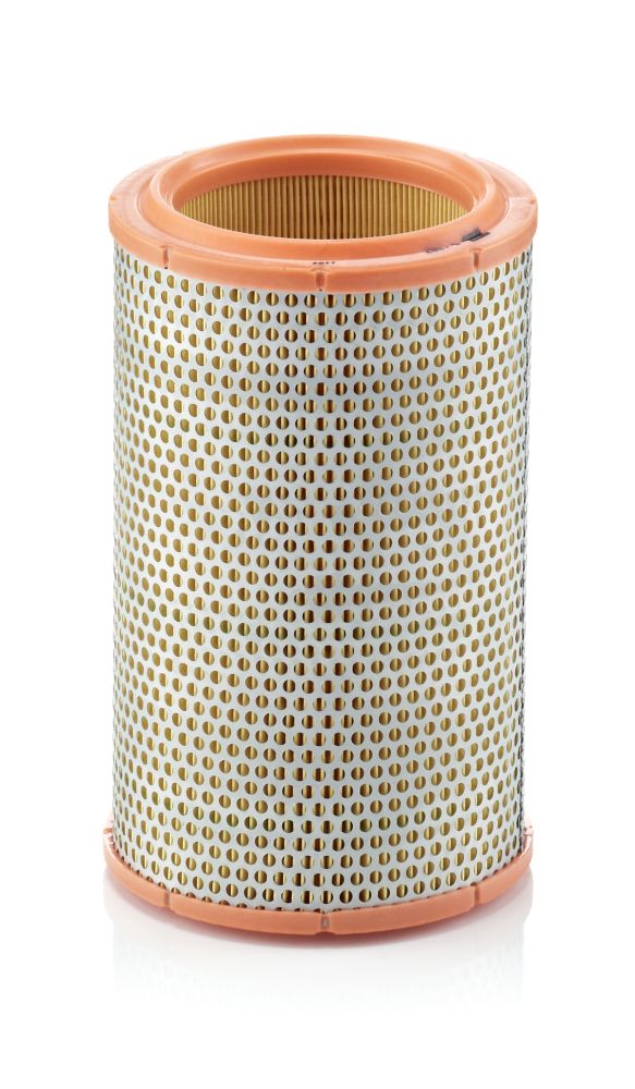 Air Filter C 1387