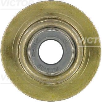 Dichtring, Ventilschaft