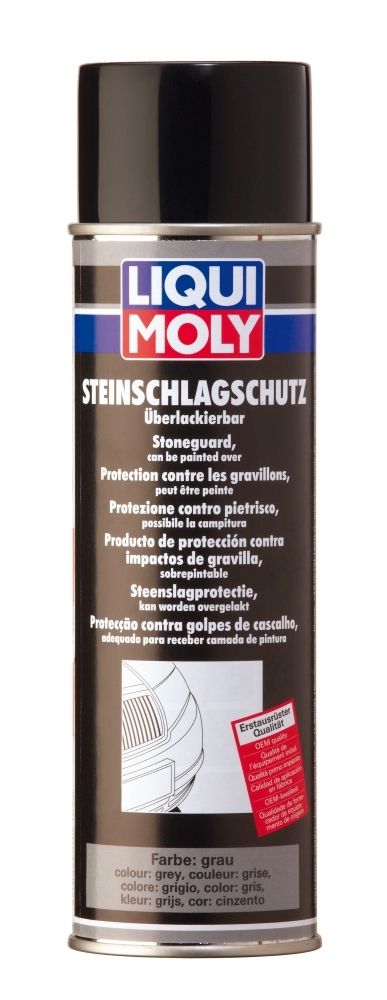Steinschlagschutz