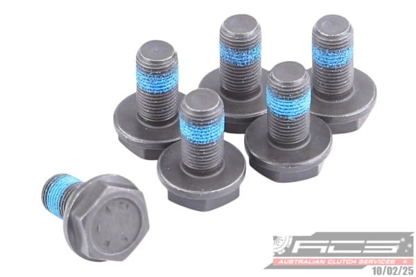 BOLT SET F/W VW 10x1.0x18.9 (6) 73Nm - TecDoc Only