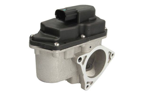 EGR Valve ENT500025