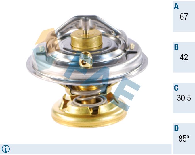 FAE 5320485 - Thermostat, K&uuml;hlmittel