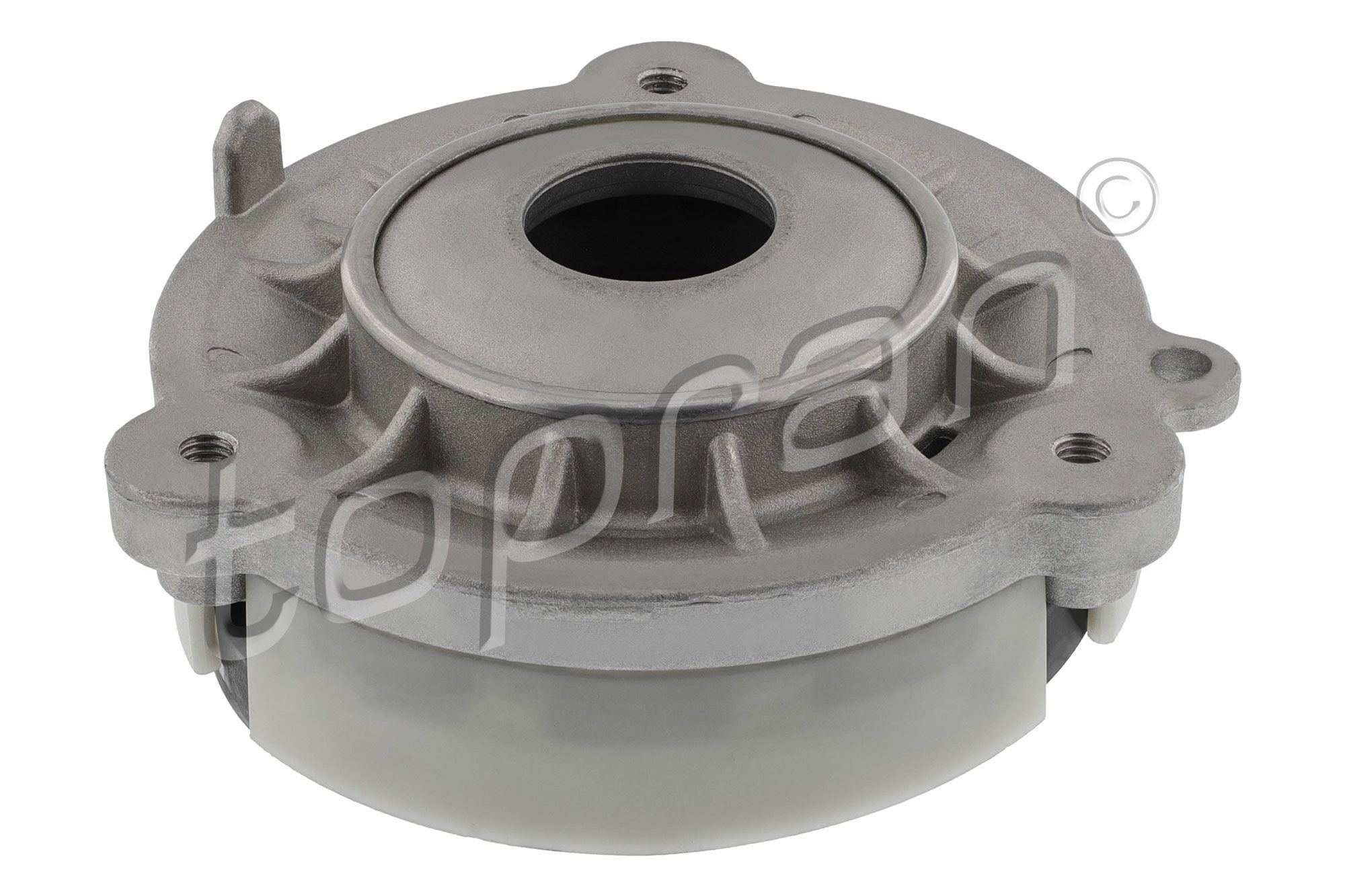 Federbeinst&uuml;tzlager