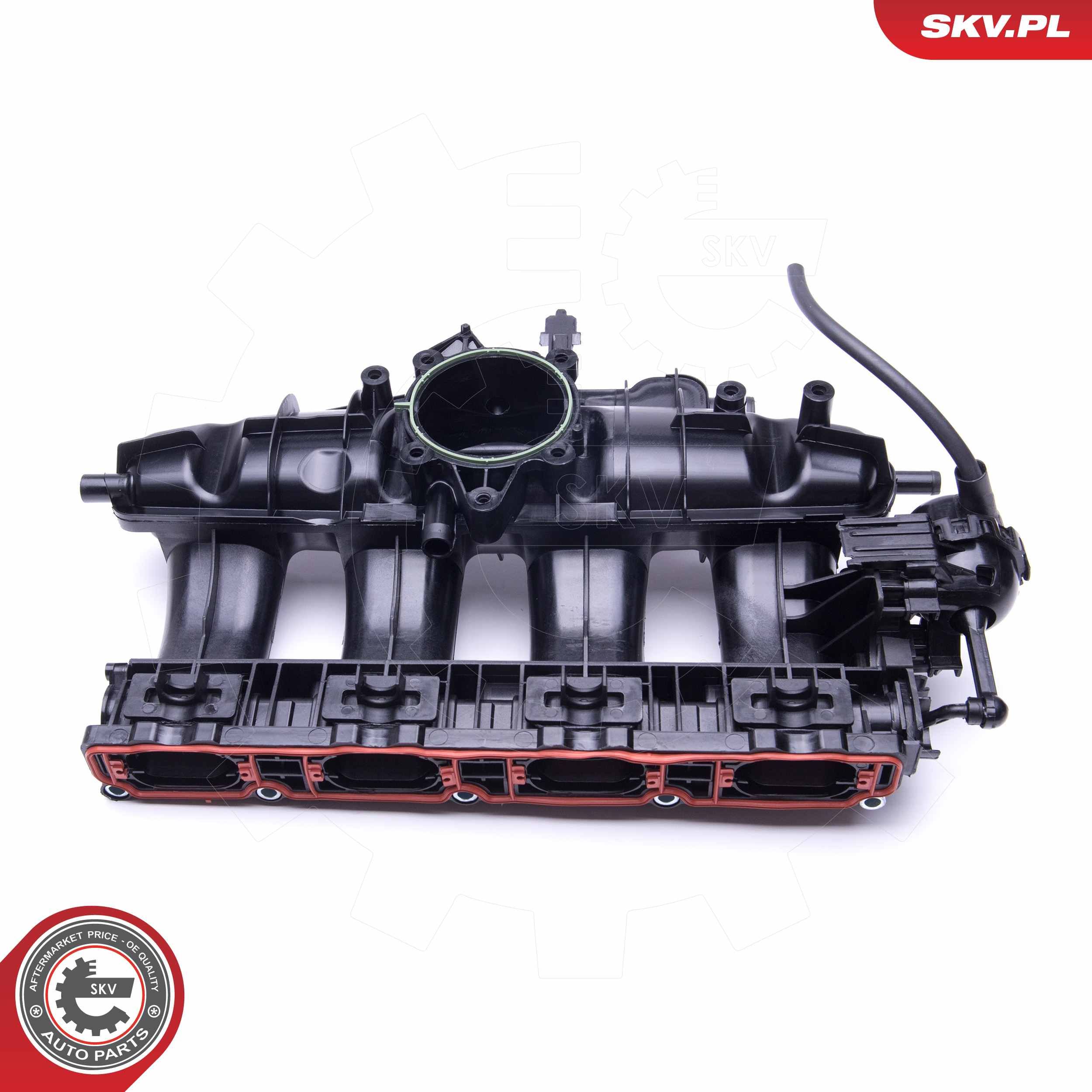 ESEN SKV 49SKV003 - Saugrohrmodul