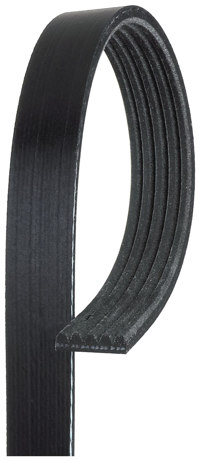 V-Ribbed Belt 5PK1335