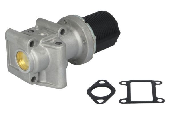 EGR Valve ENT500023