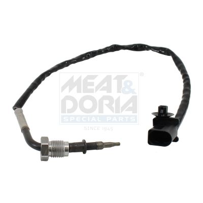 Sensor, Abgastemperatur