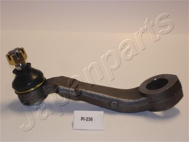 PI-236_1.JPG