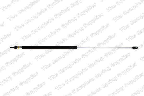 Gasfeder, Koffer-/Laderaum