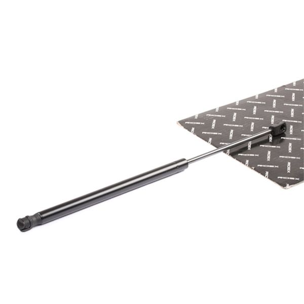 RIDEX 219G0405 Gas Spring, boot/cargo area
