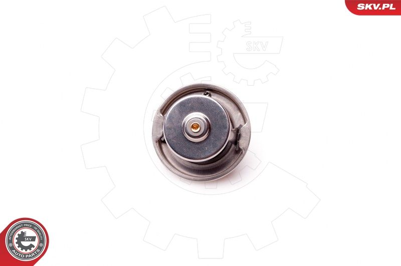 Thermostat, coolant 20SKV048