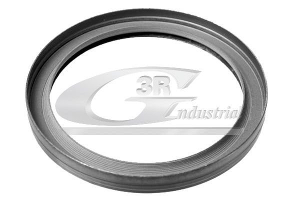 Wellendichtring, Kurbelwelle