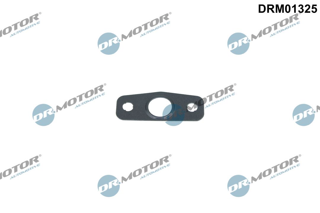 Dr.Motor Automotive DRM01325 - Dichtung, &Ouml;lauslass (Lader)