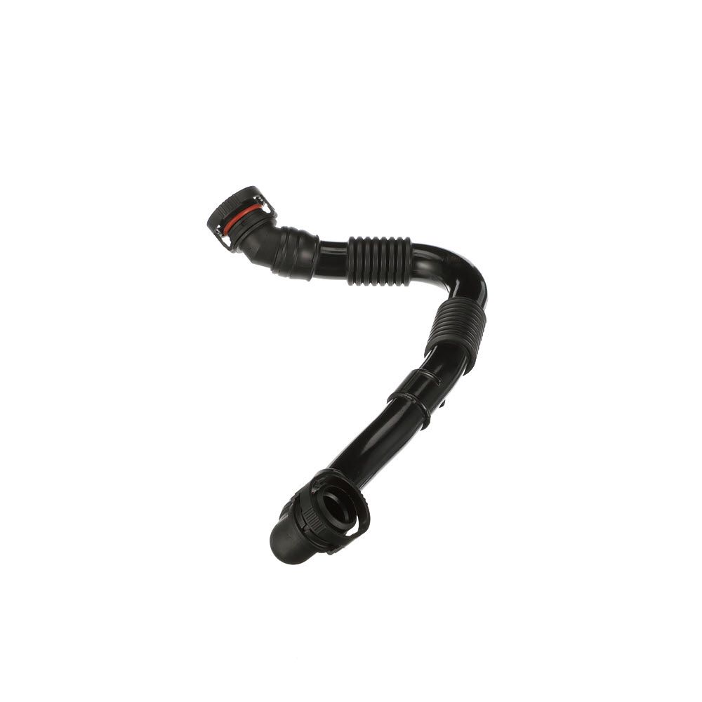 žarna, karterio alsuoklis