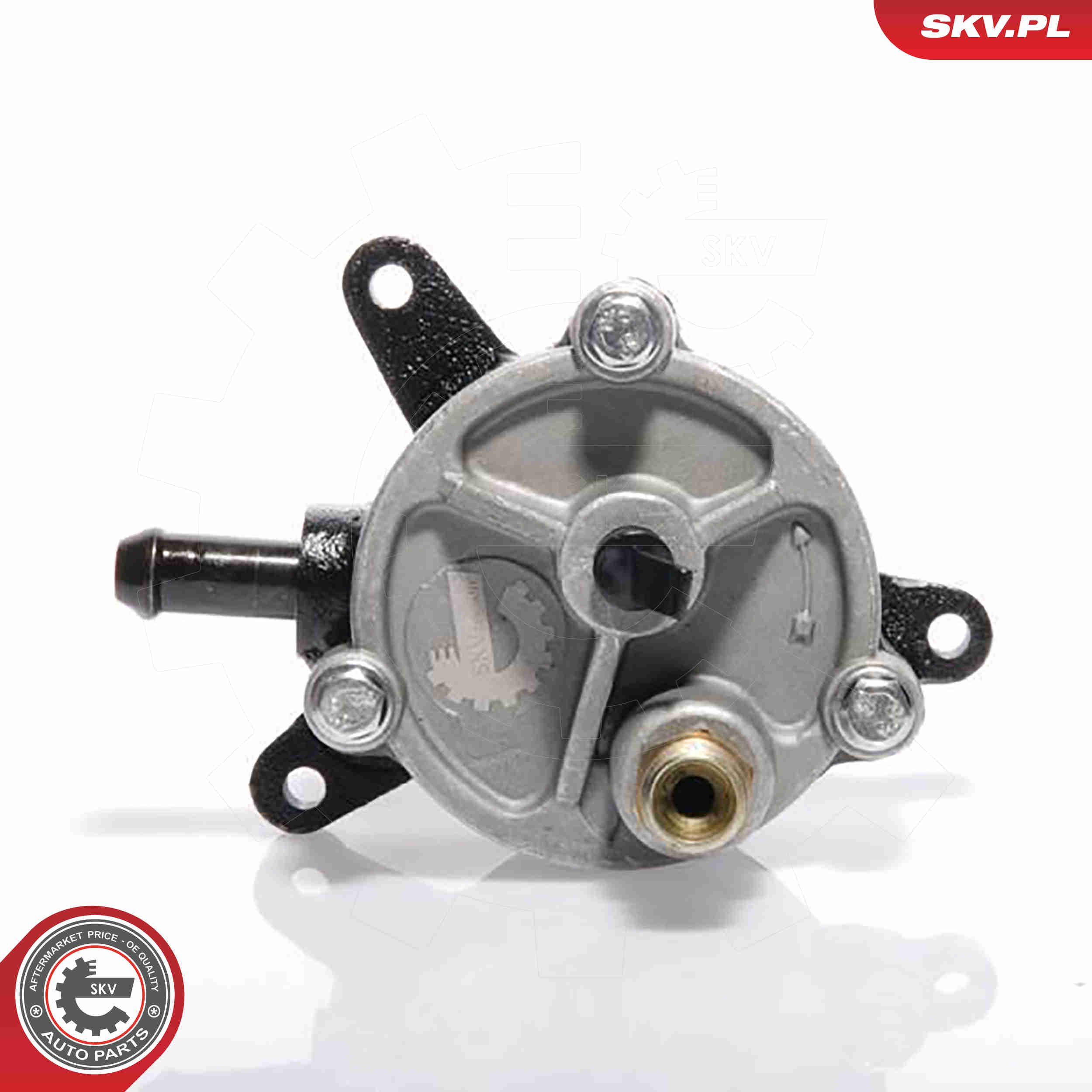 Unterdruckpumpe, Bremsanlage