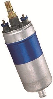 TPF_MAM00019_WR.JPG