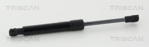 Gasfeder, Koffer-/Laderaum