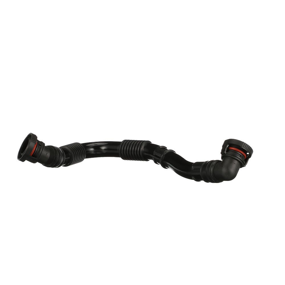 žarna, karterio alsuoklis