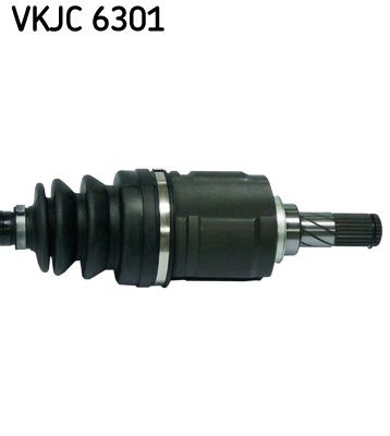 VKJC 6301_3.JPG
