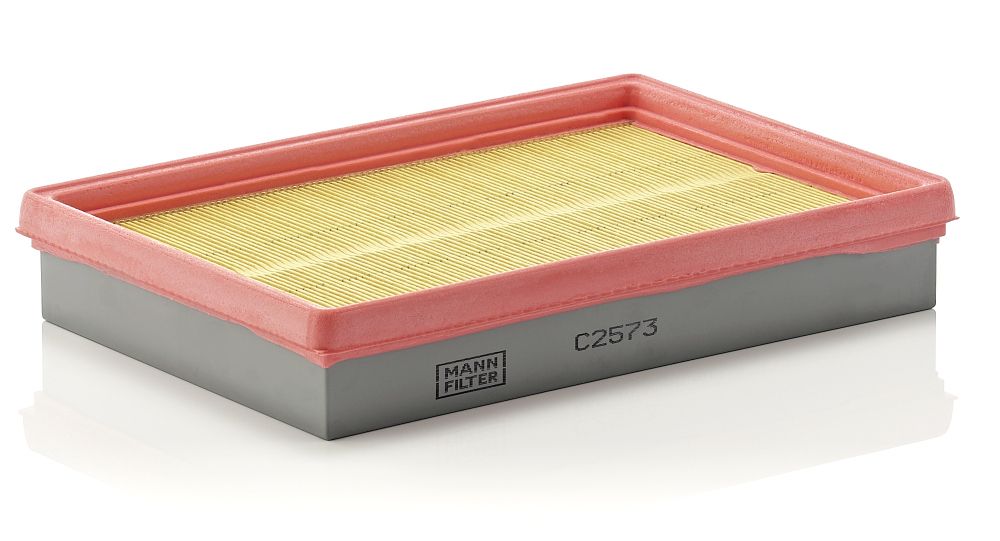 Air Filter C 2573