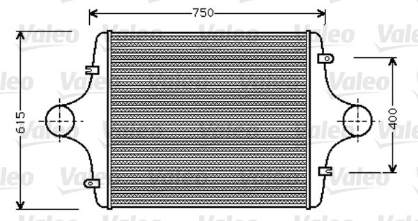 RAS  MAN F90 07-86-02-90  NET