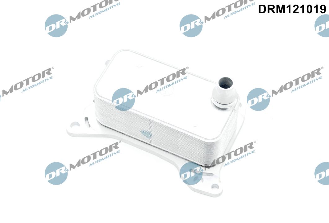 Dr.Motor Automotive DRM121019 - &Ouml;lk&uuml;hler, Motor&ouml;l