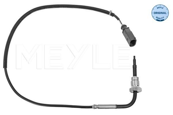 Sensor, Abgastemperatur