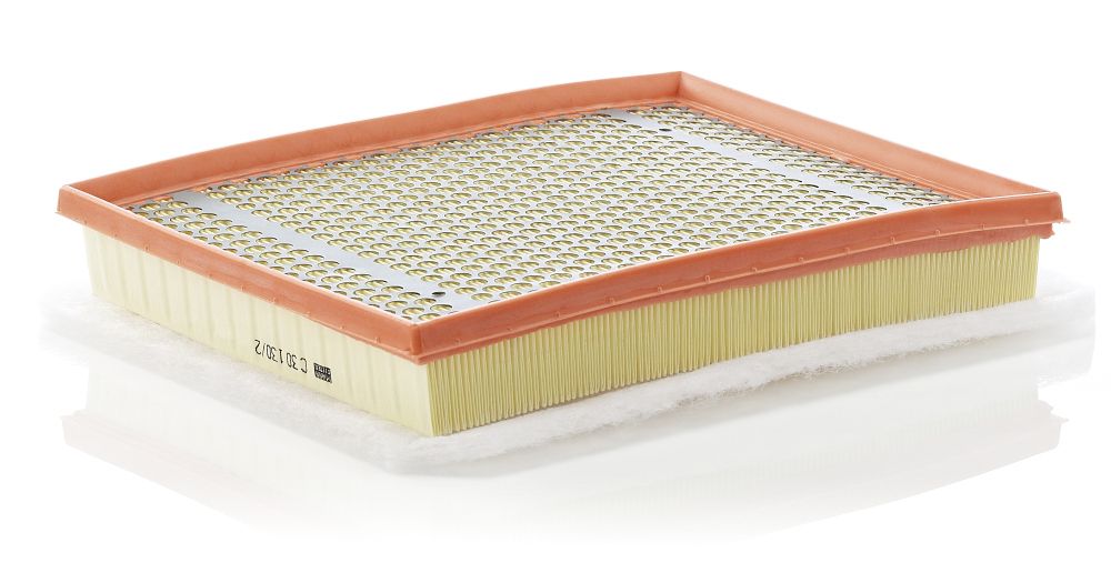 Air Filter C 30 130/2