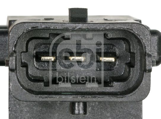 45772_3.JPG