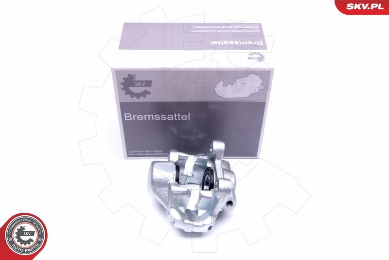 Brake Caliper 42SKV734