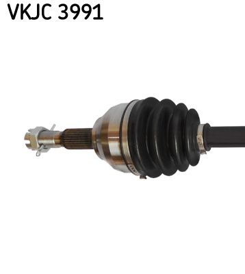 VKJC 3991_2.JPG