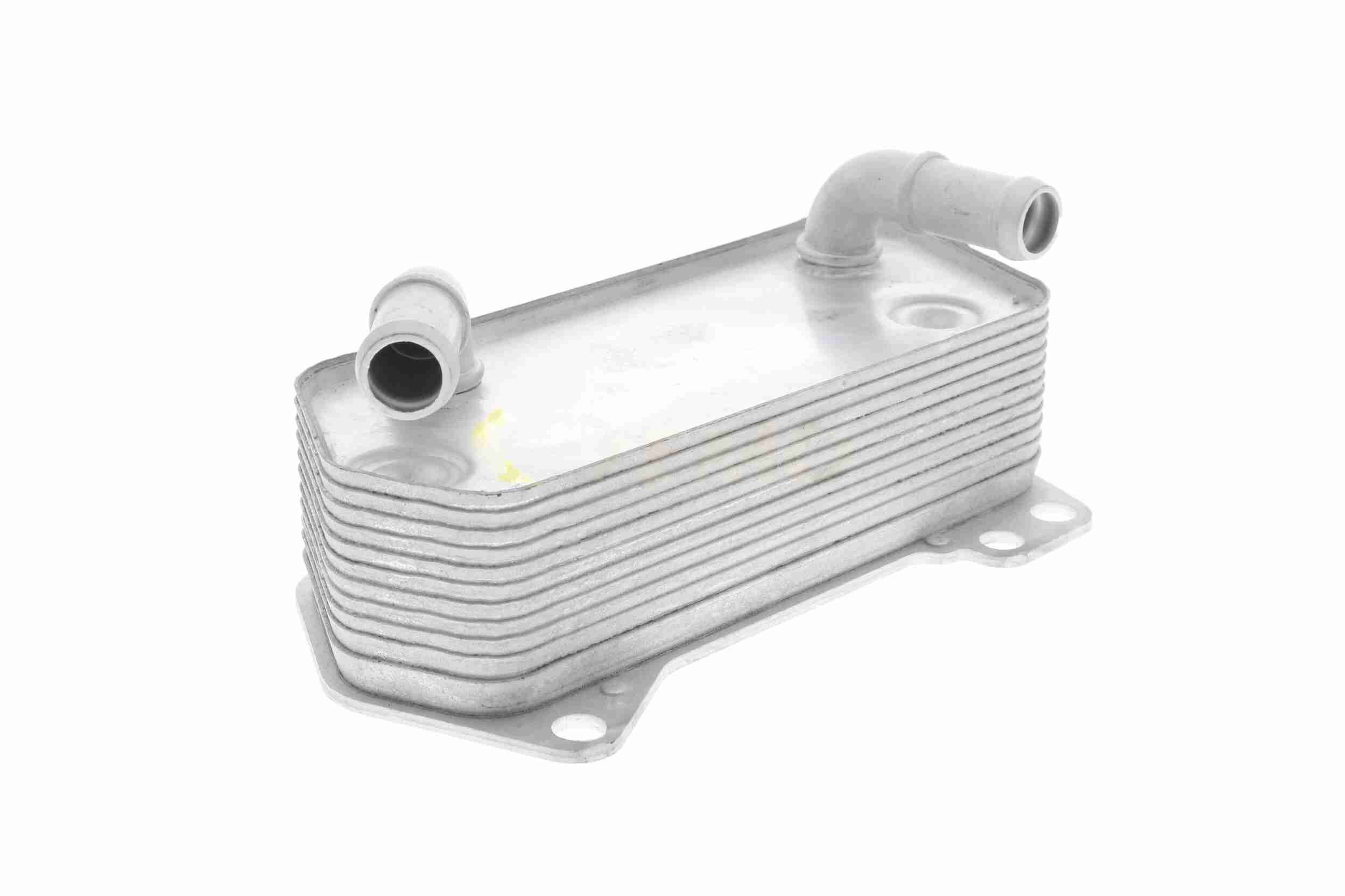 &Ouml;lk&uuml;hler, Motor&ouml;l