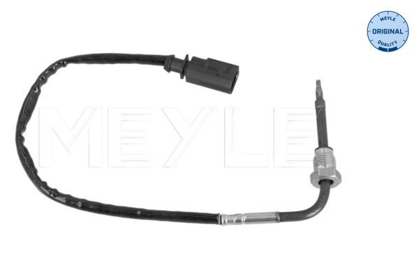 Sensor, Abgastemperatur