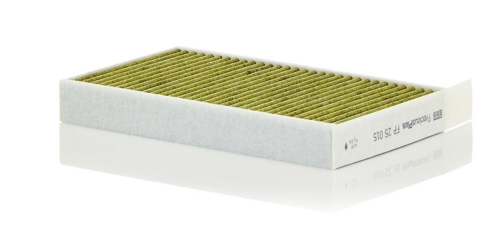 Filter, Innenraumluft