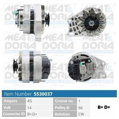 Alternator 5530037