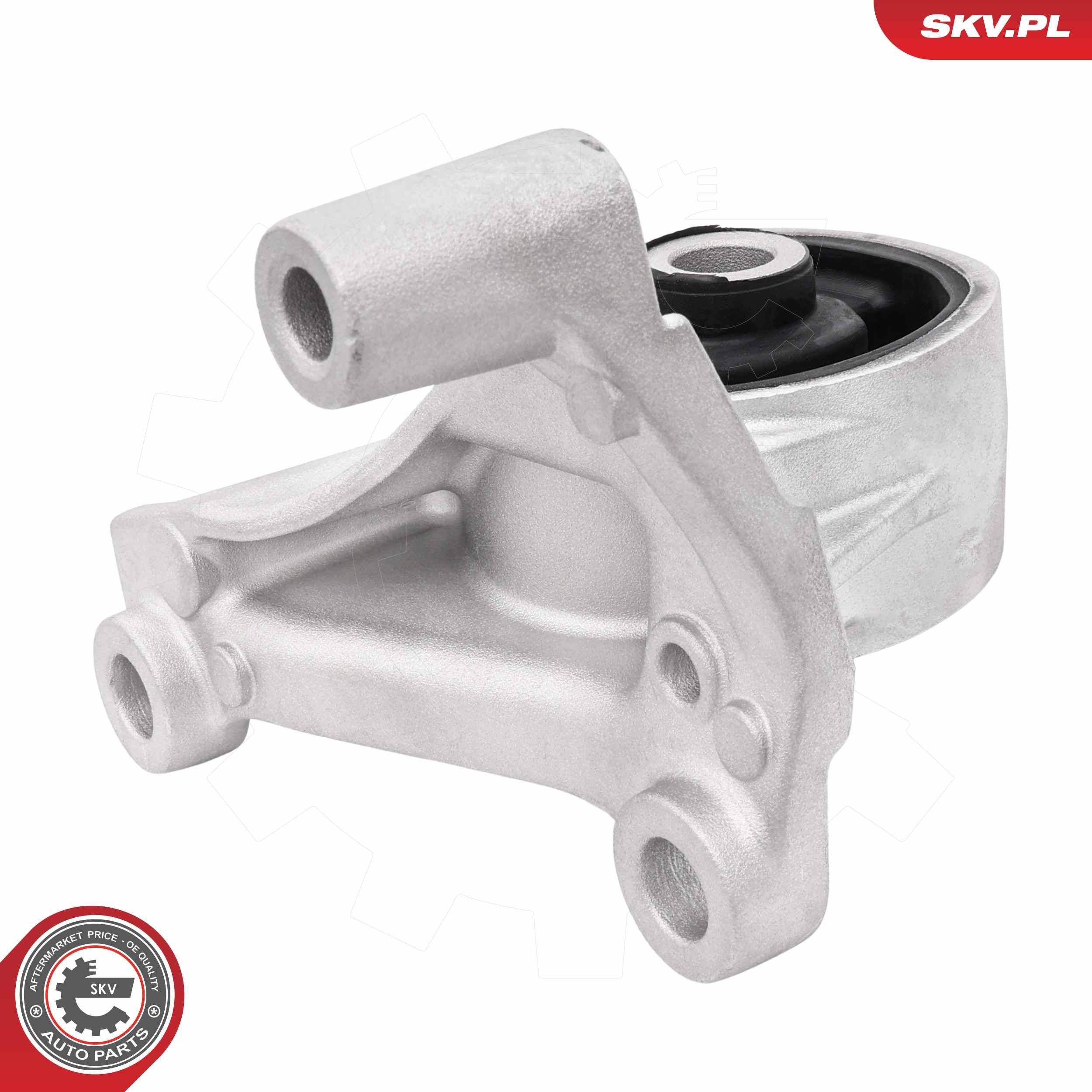 ESEN SKV 75SKV100 - Lagerung, Motor
