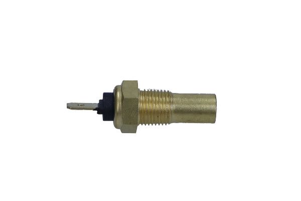 Sensor, Kühlmitteltemperatur