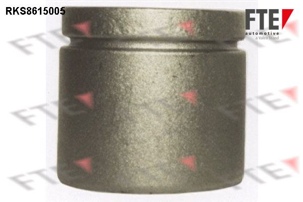 FTE 9313002 - Kolben, Bremssattel
