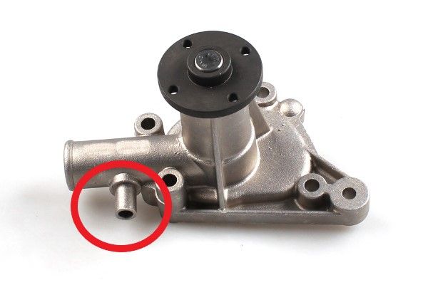 Wasserpumpe, Motorkühlung