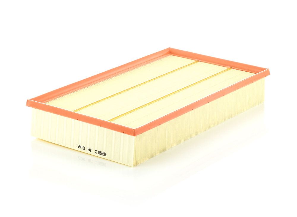 MANN-FILTER C 38 002 - Luftfilter
